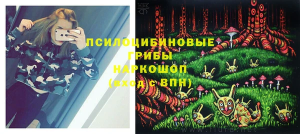 кокс Бородино