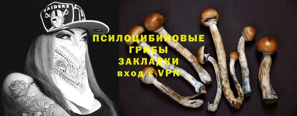кокс Бородино