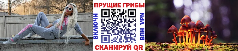 ОМГ ОМГ ссылки  Дзержинск  Галлюциногенные грибы мухоморы 